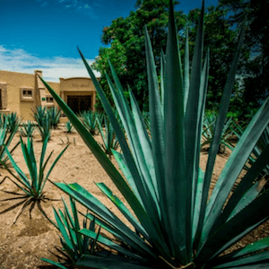 شهرهای دیدنی خارجی