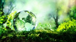 کارآفرینان و طبیعت